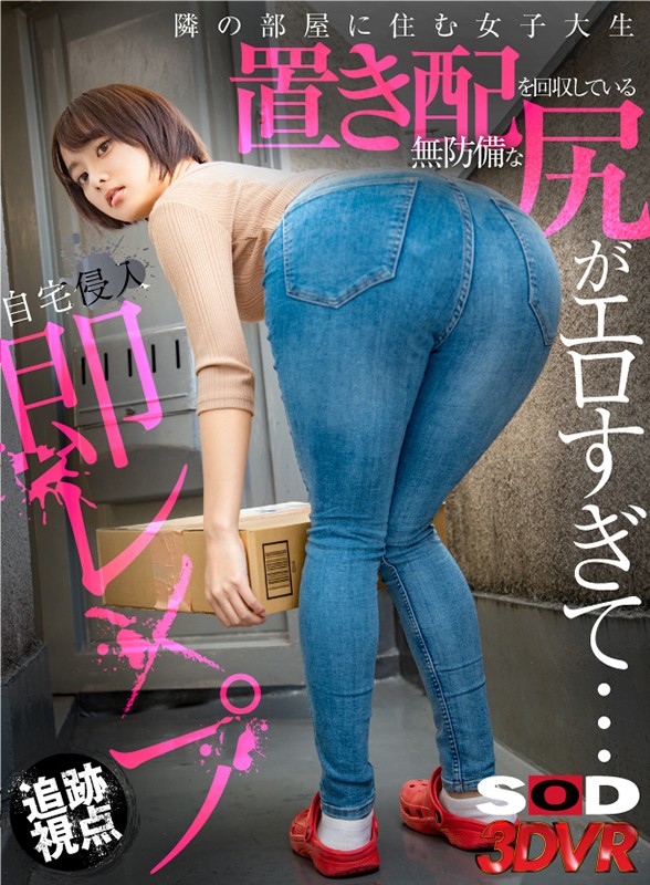 【VR動画】13dsvr00863｜｜【VR】【追跡視点】隣の部屋に住む女子大生 置き配を回収している無防備な尻がエロすぎて…自宅侵入即レ●プ